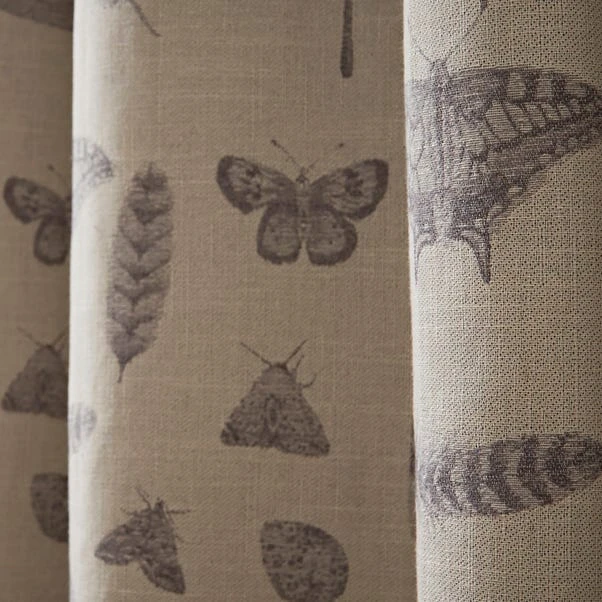 Natural History Museum Nature's Study Natural Pencil Pleat Curtains 5 Natural History Museum Nature's Study Natural Pencil Pleat Curtains - Image 3
